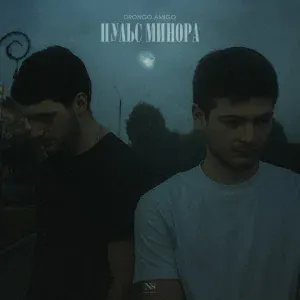 DronGo, AmiGo - Райский ад