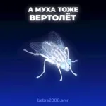 Bebra2008.amr - А муха тоже вертолёт