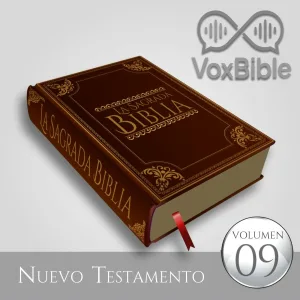 VoxBible feat. Enrique Rocha - Pedro Nega a Jesus