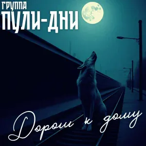 Группа Пули-Дни - Днюха (С днем рождения браток!)
