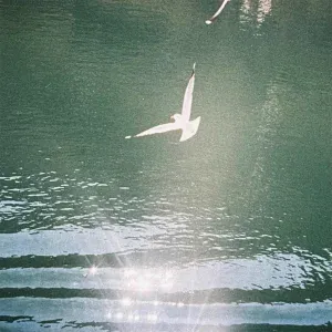 MRD - Creek