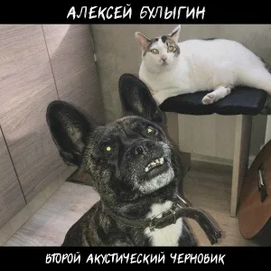 Алексей Булыгин - Качинский