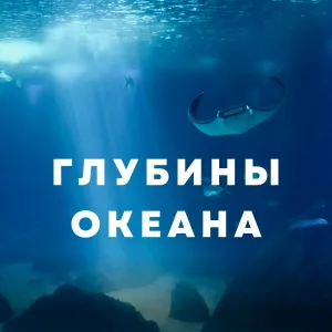 Подводные глубины, Тайны глубин, Вечность океана - Глубины тишины