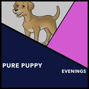 Dogs Music Therapy, Dog's Music, Zen Dog - Friendly Wonder