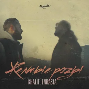 Khalif, Enrasta - Жёлтые розы
