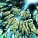 Zeds Dead, Dion Timmer feat. Delaney Jane - Rescue