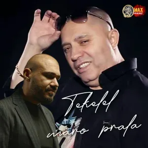 Nicolae Guta, STEFAN DE LA BARBULESTI, Narcis de la Barbulesti - Tekelel maro prala