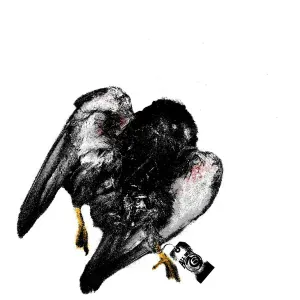 All But 6, South Strip, Pouya feat. Kxllswxtch - STFU