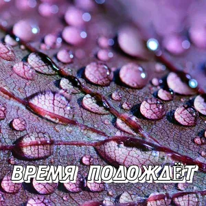 Сергей Грищук - ВРЕМЯ ПОДОЖДЁТ