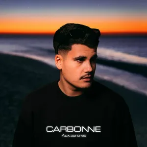 Carbonne - Sommet