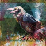 Mogwai - Ritchie Sacramento