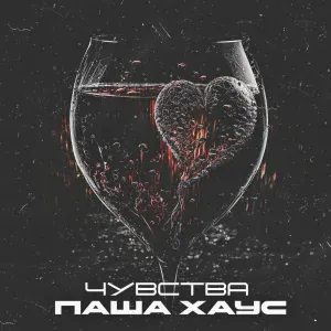 Паша Хаус - Чувства