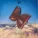 The Library Of The Human Soul & Vienna Session Orchestra - Flight