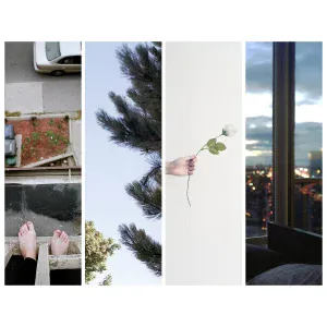 Counterparts - Compass