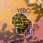 Vedo - You Got It