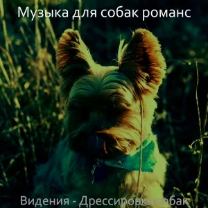 Музыка для собак романс - Атмосфера (Собаки)