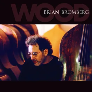 Brian Bromberg - Dolphin Dance