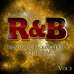 The Professionals - Sunshine (Originally Performed by Gabrielle) [Backing Track]