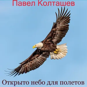 Павел Колташев - Розмыслы