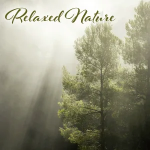 Echoes of Nature - Forest