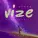 VIZE feat. Laniia - Stars
