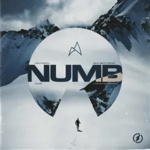 Arc North, Aaron Richards, New Beat Order feat. Cour - Numb