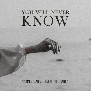 Vadim Adamov, Hardphol, SMOLA - You Will Never Know