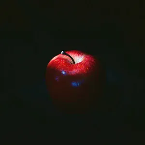 Lx24 - Дикая