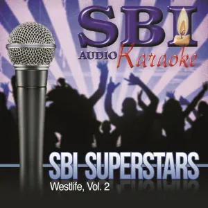 SBI Audio Karaoke - What Makes a Man (Karaoke Version)
