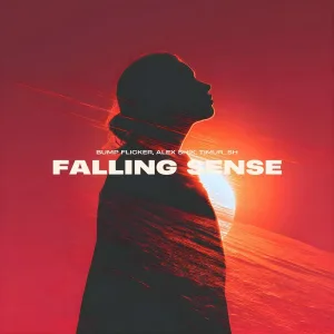 Bump Flicker, Alex Shik, Timur_SH - Falling Sense
