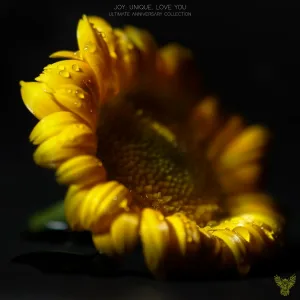 N1T30wl - Juliet's (Not Romeo) Song