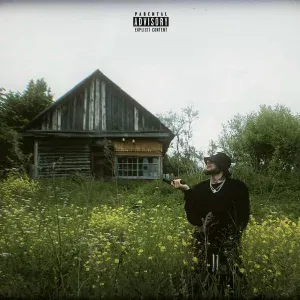 Brau - БАНДУРЫ