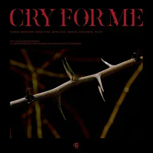 TWICE - CRY FOR ME