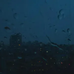 plenka - everything that I can't forget