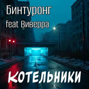 Бинтуронг - Котельники
