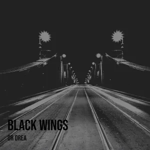 Dr Drea - Colour of Silence