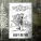 Magic Man - Into the Woods!
