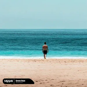 Hamidshax - Seven Days