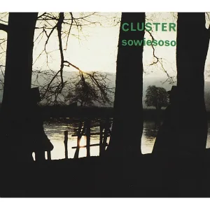 Cluster - Halwa