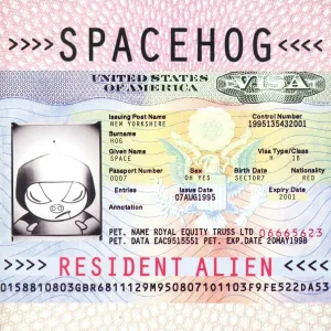 Spacehog - Never Coming Down