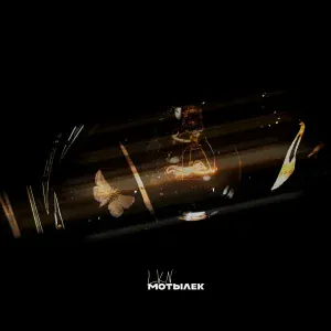 LKN - Мотылек