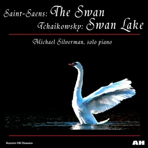 Michael Silverman - Little Prelude