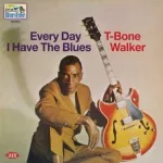 T-Bone Walker - Every Day I Have the Blues