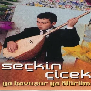 Seçkin Çiçek - Aşk Dediğin