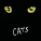 Andrew Lloyd Webber, "Cats" 1981 Original London Cast, Elaine Paige - Memory