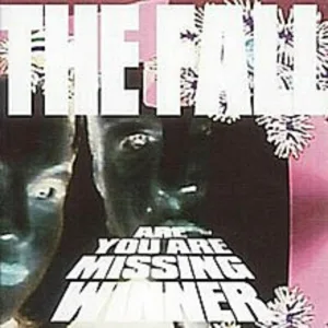 The Fall - Enigrammatic Dream / Ketamine Sun