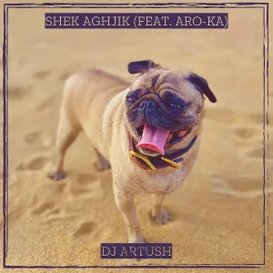 DJ Artush feat. Aro-ka - Shek Aghjik