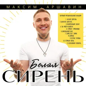 Максим Аршавин - Серые птицы