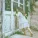 Violent Femmes - Gone Daddy Gone