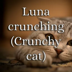 MEMEPEDIAS - Luna Crunching (Crunchy Cat)